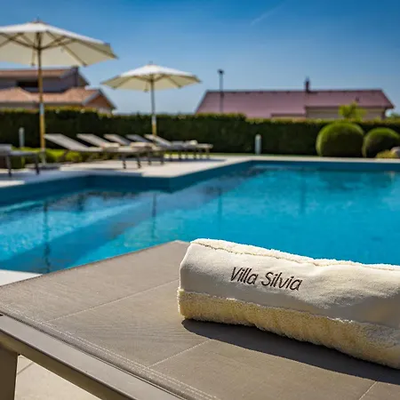Silvia For 10 People With Infinity Pool And Large Playground * Babici