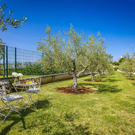 Silvia For 10 People With Infinity Pool And Large Playground